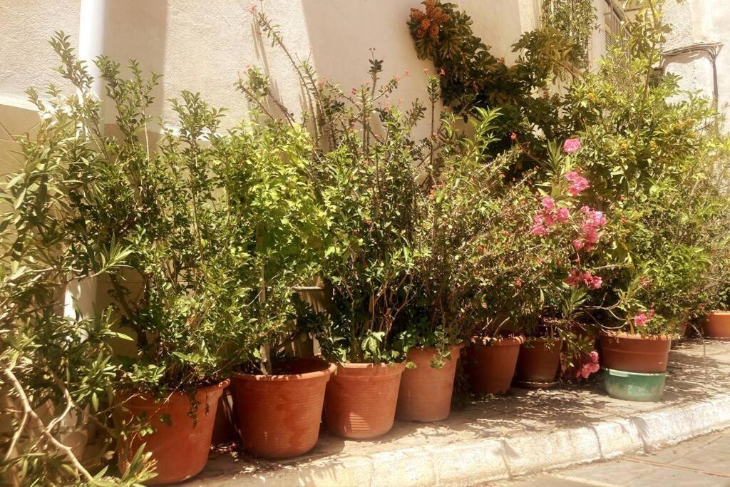 הוילה Lanjarón Casa Rubi Townhouse מראה חיצוני תמונה
